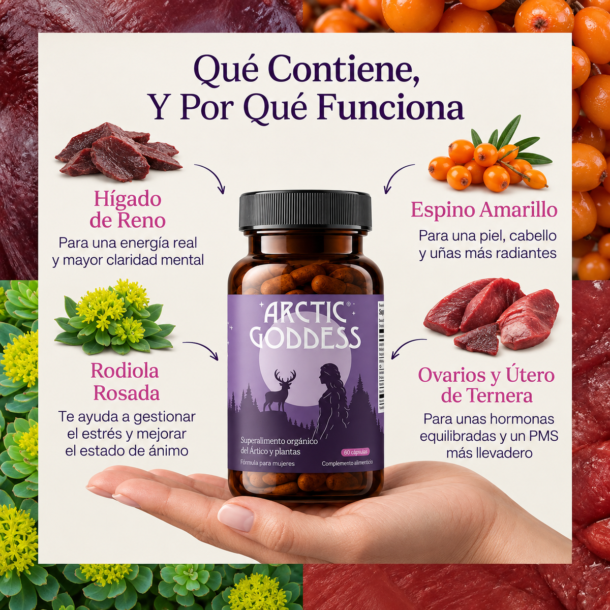 Arctic Goddess - Reductor Ancestral de Cintura y Muslos para Mujeres