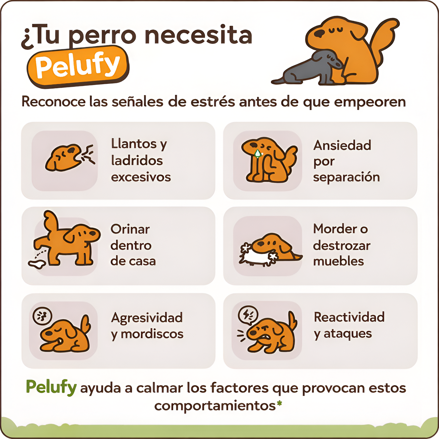 Kit Calmante para Mascotas