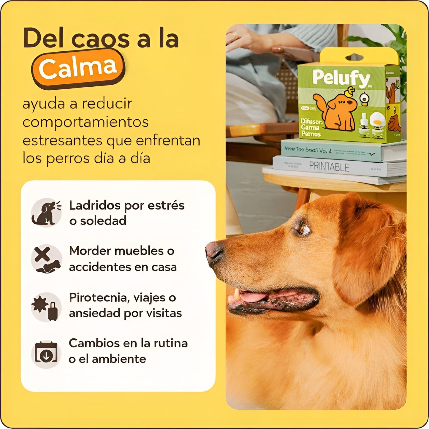 Kit Calmante para Mascotas