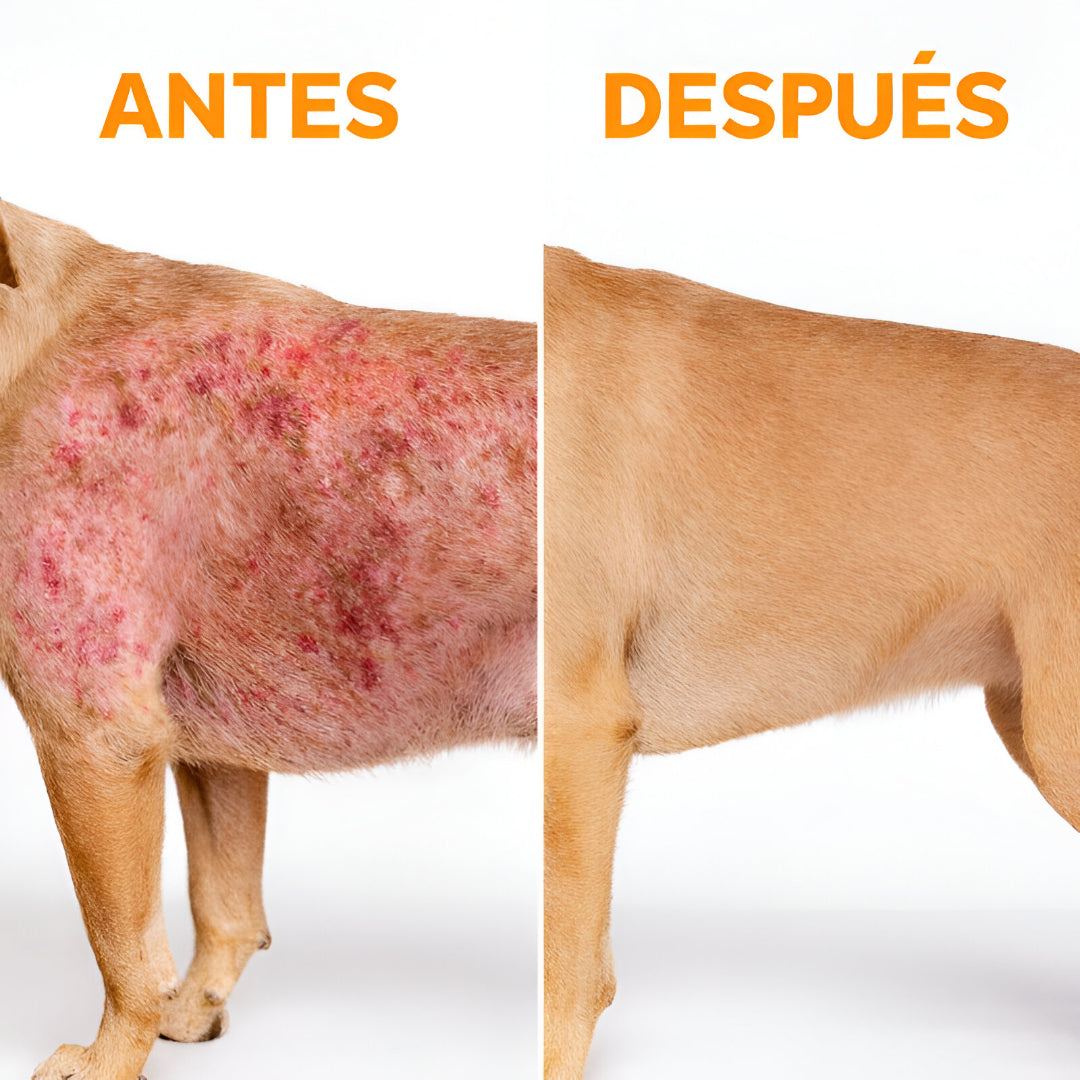 Spray Dermapet