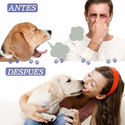 Spray Dental Pelufy