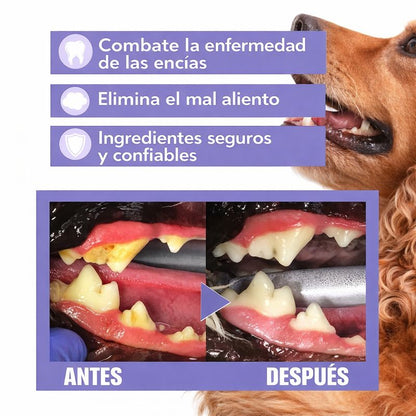 Spray Dental Pelufy
