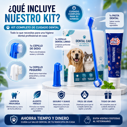 Kit Dental Pelufy