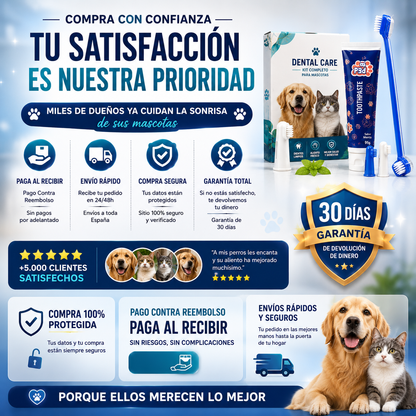 Kit Dental Pelufy